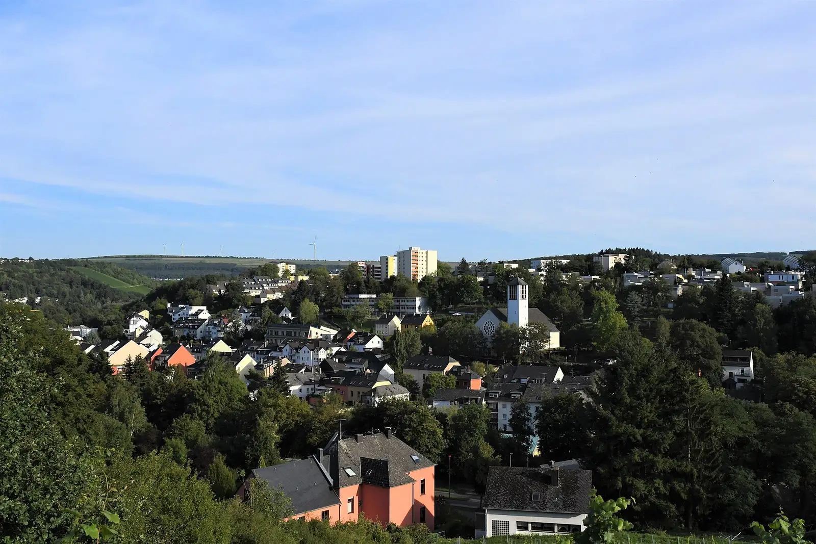 Weinort Trier-Olewig mit umliegenden Weinbergen