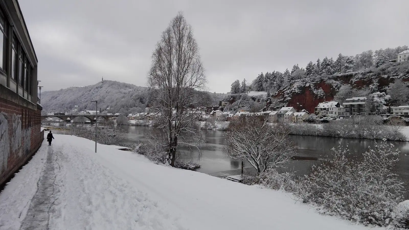 Moselufer in Trier-Nord mit Blick auf Mariensäule